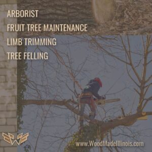 peoria il arborist services tree trimming