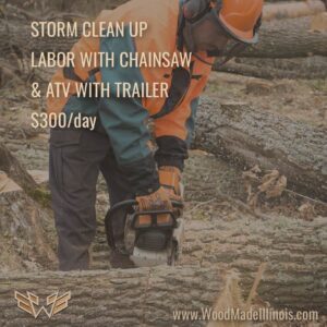 peoria IL storm cleanup services chainsaw down limbs