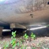 1961 Airstream $15500 - Image 24