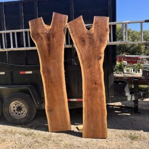 book matched walnut slabs