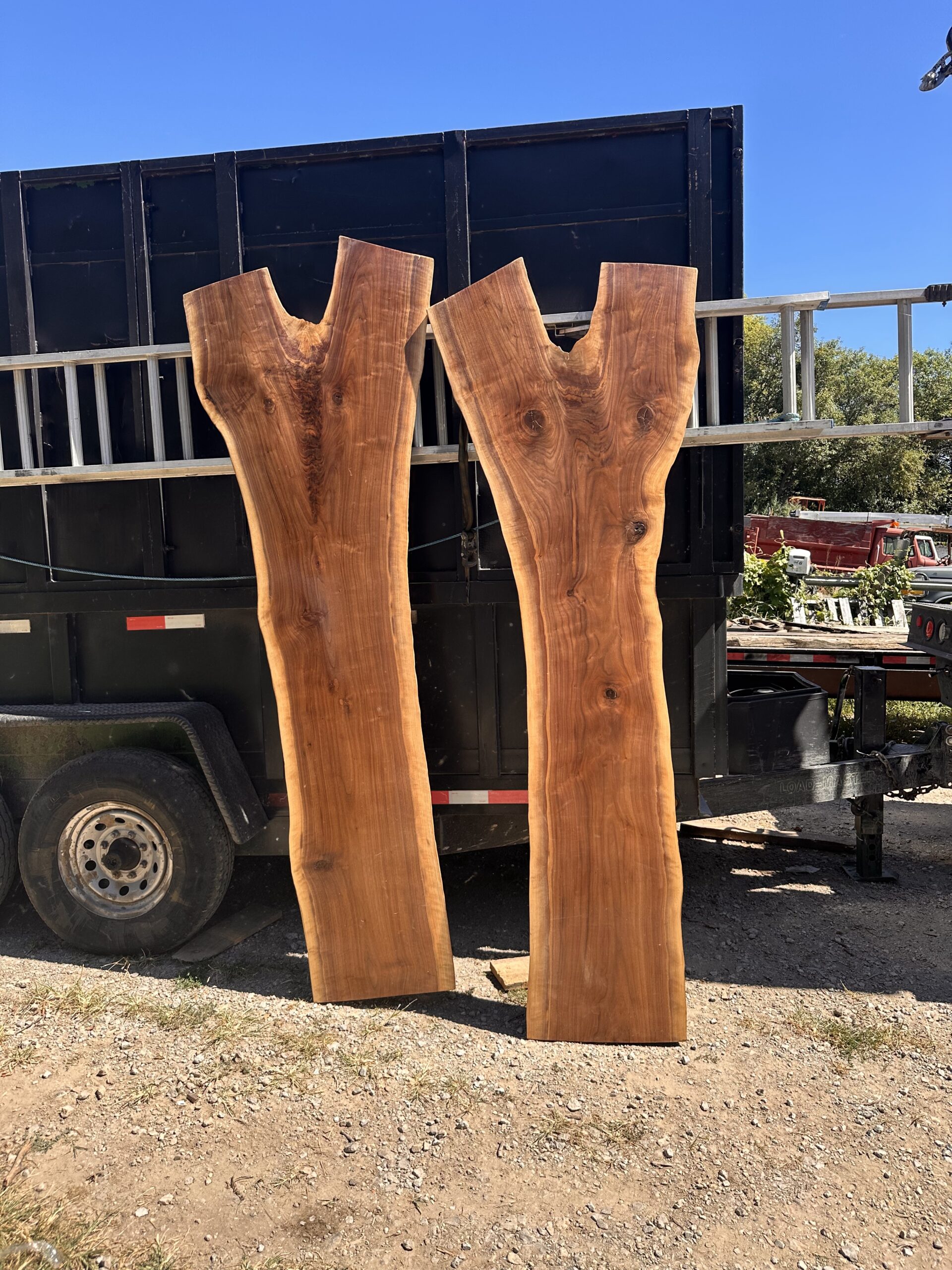 book matched walnut slabs