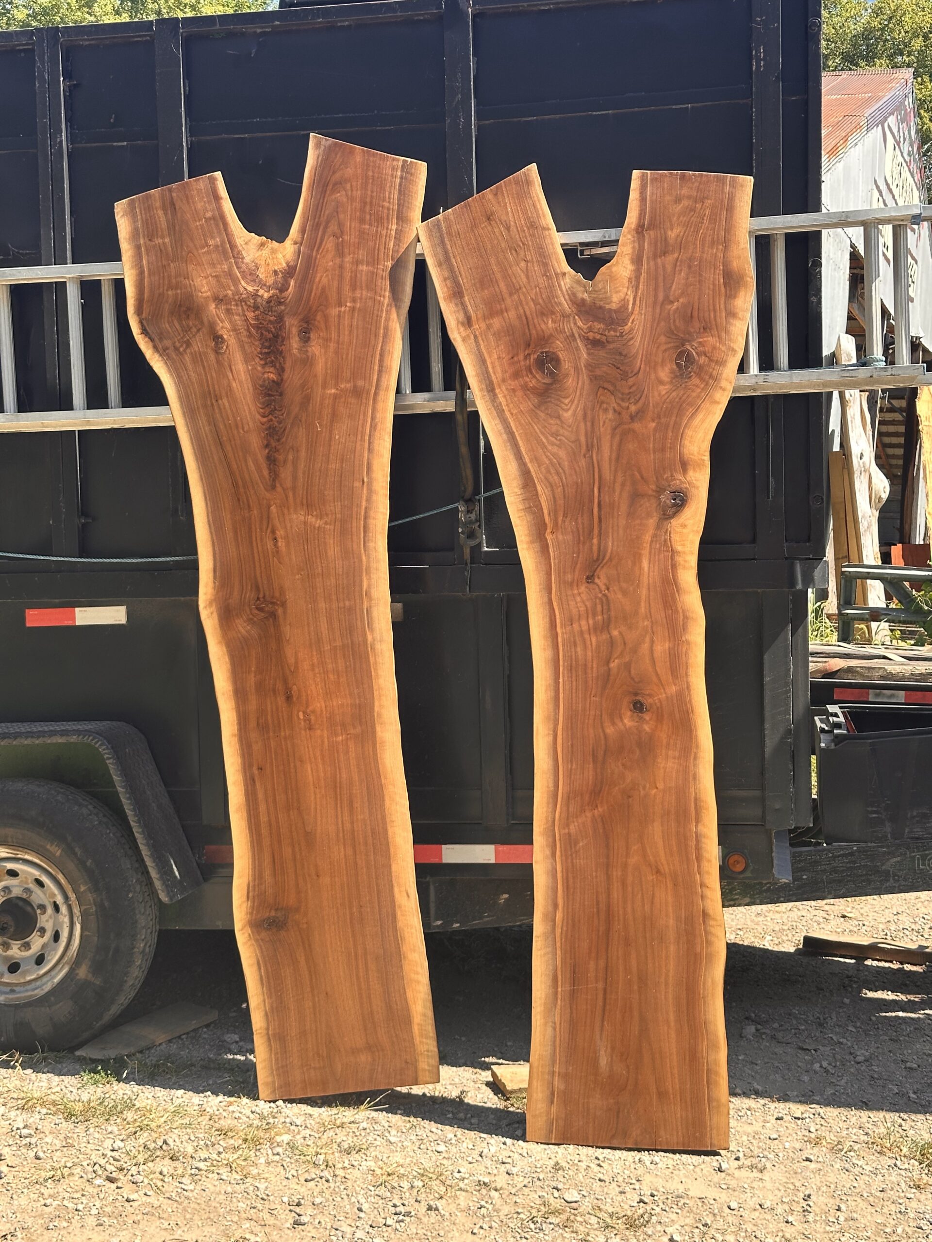 Book Matched Solid Walnut Y slabs 2 inches thick - Image 22