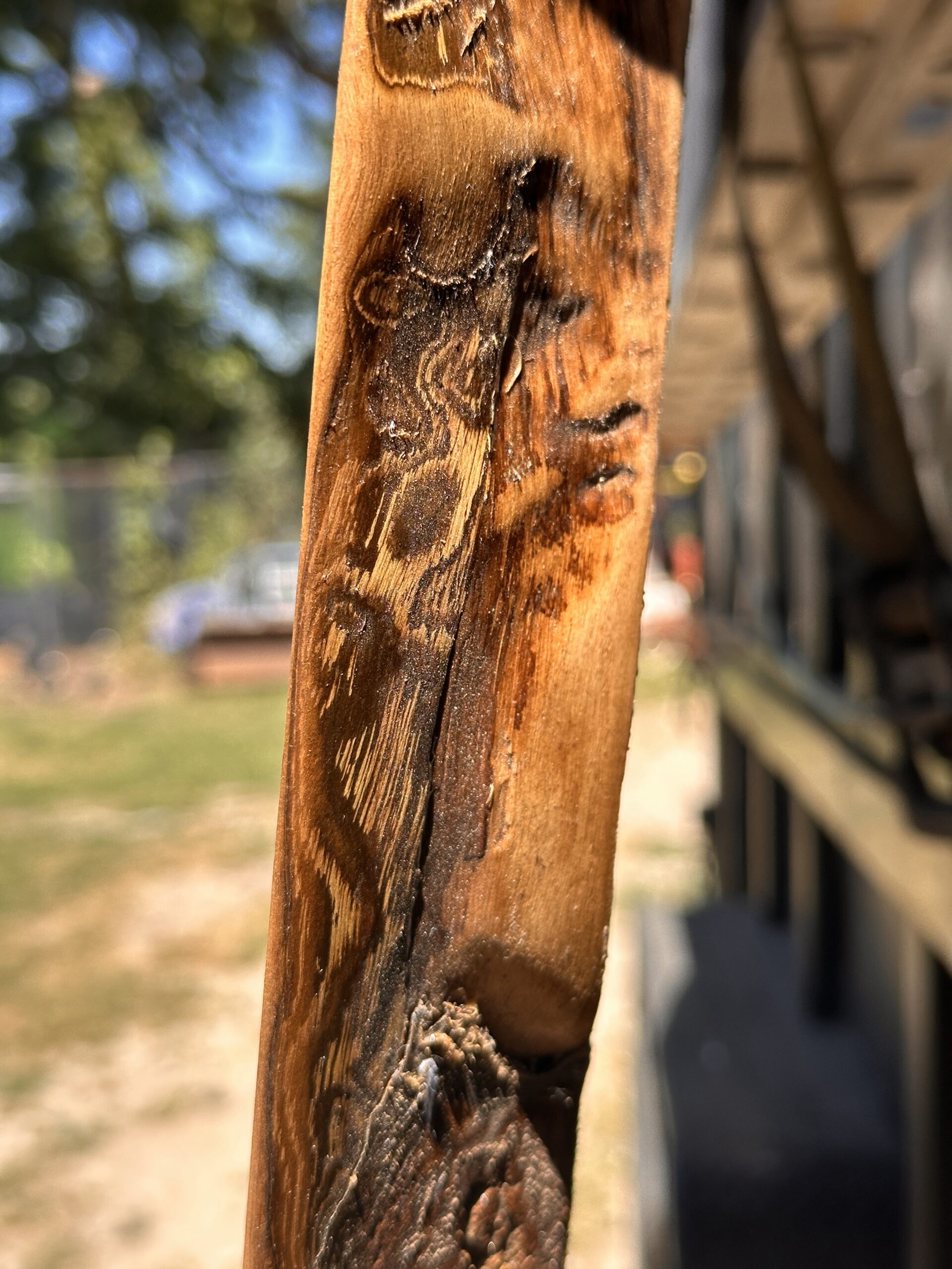 Book Matched Solid Walnut Y slabs 2 inches thick - Image 21