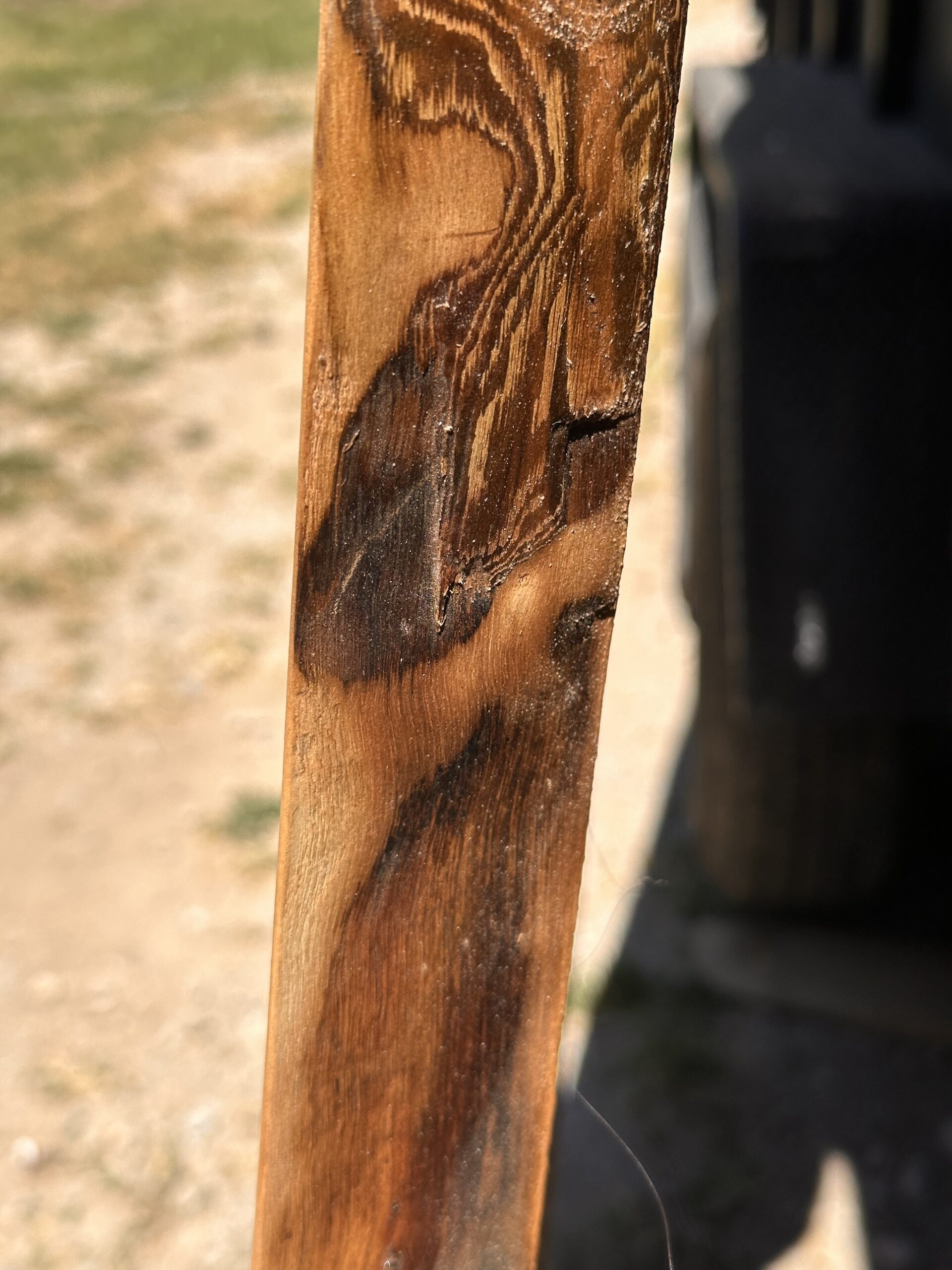 Book Matched Solid Walnut Y slabs 2 inches thick - Image 19